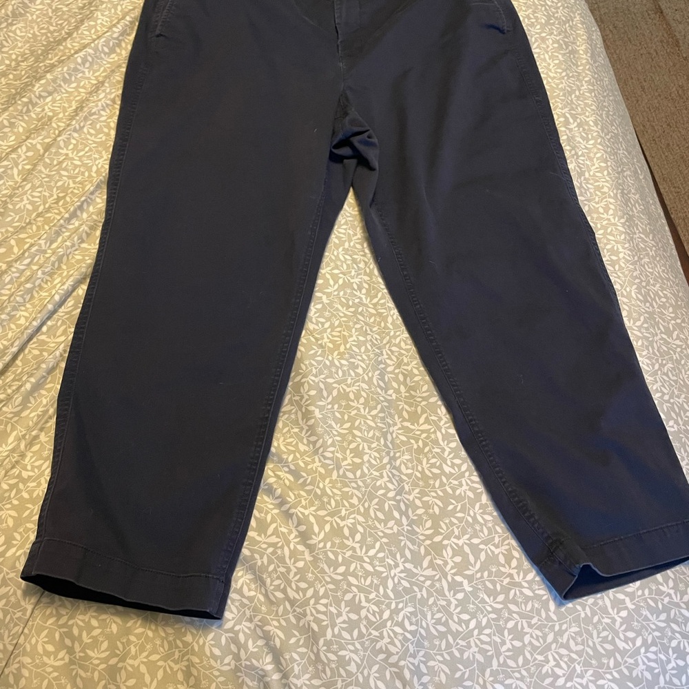 J. Crew Blue Chinos Tapered Leg Pants